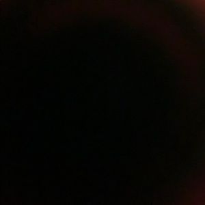 Meet your Posher, Dennis